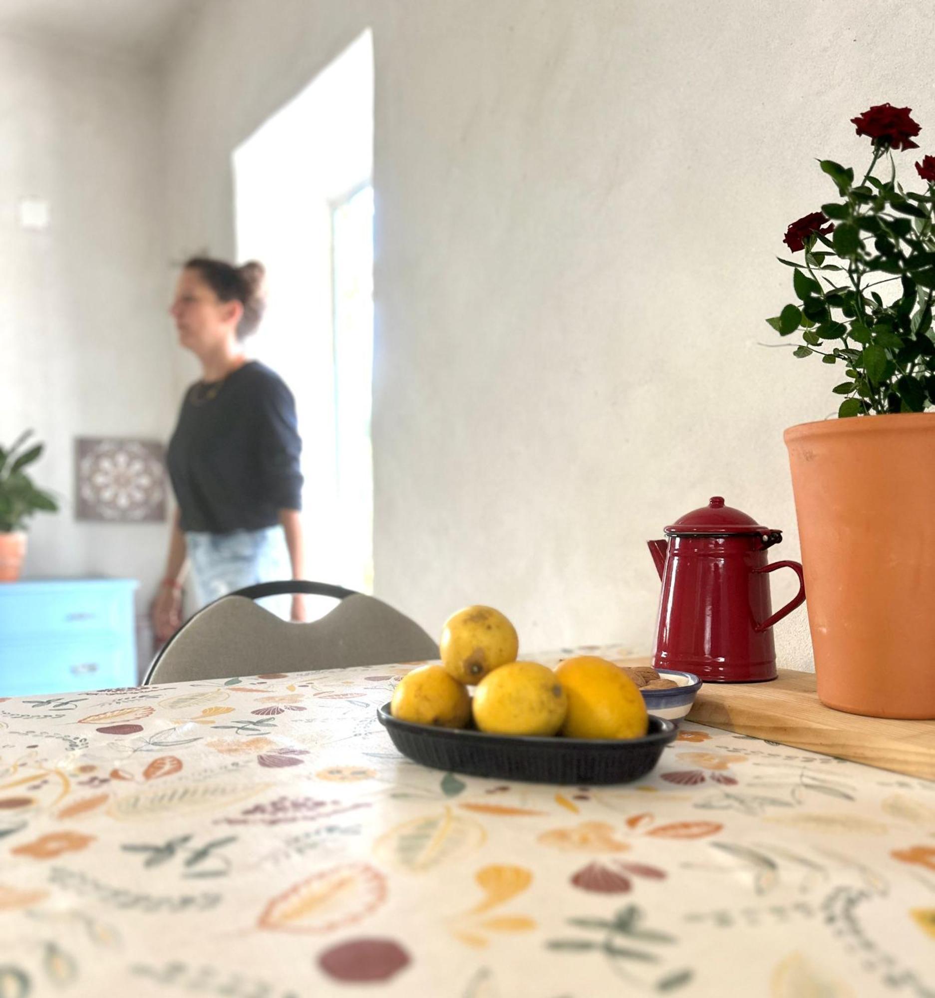 לינה וארוחת בוקר טבואה Casa Trilho The Gaios מראה חיצוני תמונה